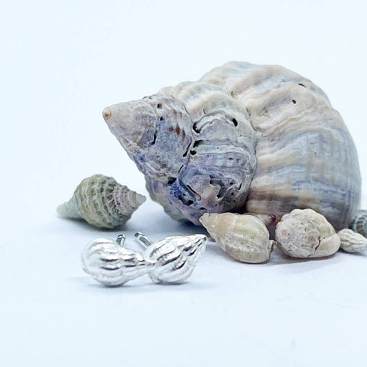 Silver Whelk Shell Earrings - Handmade in Scotland: Nairn (5x4mm)