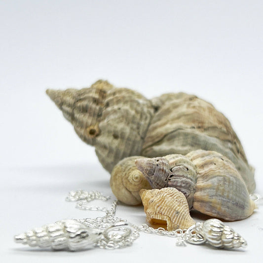 Silver Whelk Shell Necklaces - Nairn Beach: Small Whelk