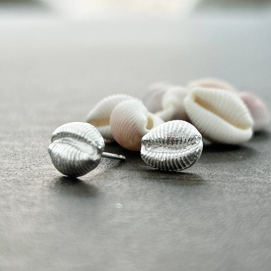Silver Cowrie Shell Earrings - Isle of Colonsay: Small