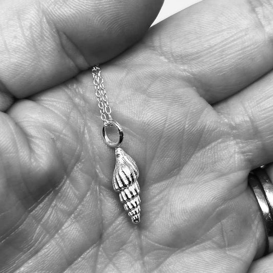 Silver Whelk Shell Necklaces - Nairn Beach: Large Whelk