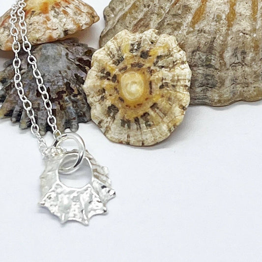 Silver Limpet Shell Necklace: Small  - Tyninghame